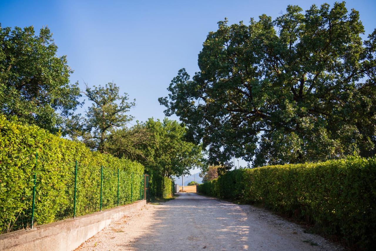 Le Colonne Bed & Breakfast Cassino Dış mekan fotoğraf